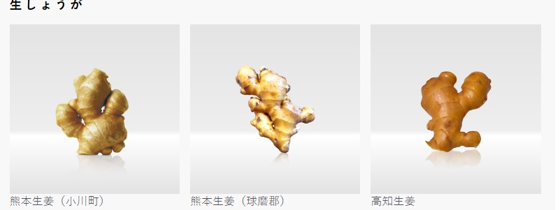 ���I���X�yGINGER FACTORY�z���T�C�g